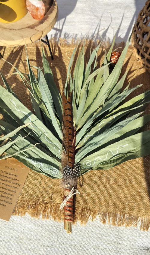 photo_2025-05-27_11-50-08